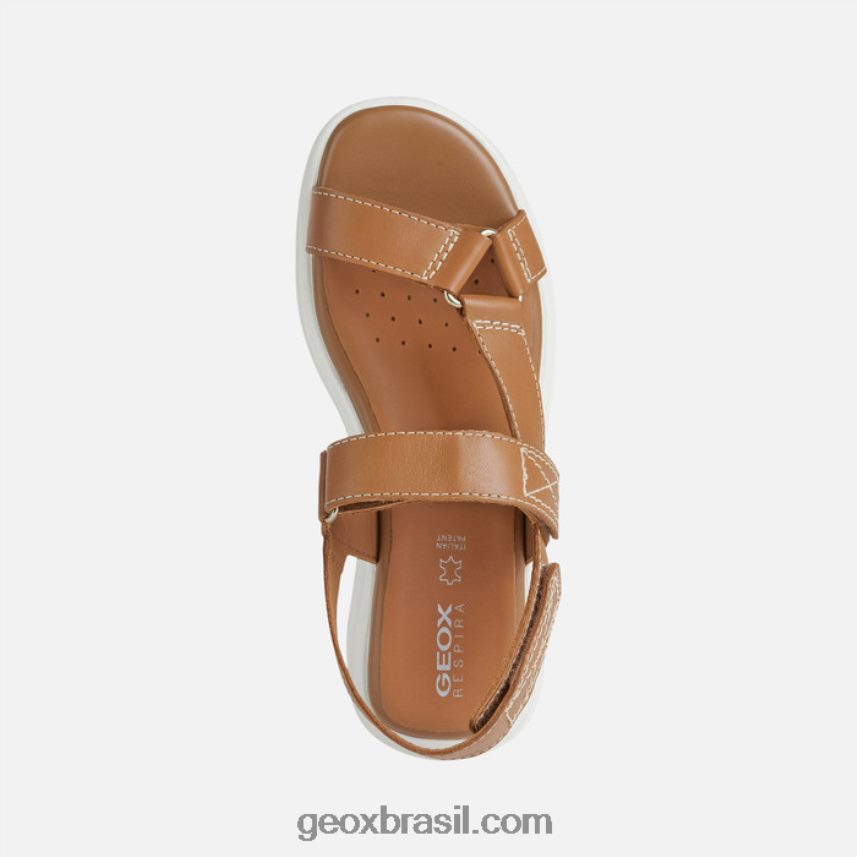 mulher esférica ec5w camelo Geox 28TF8X38