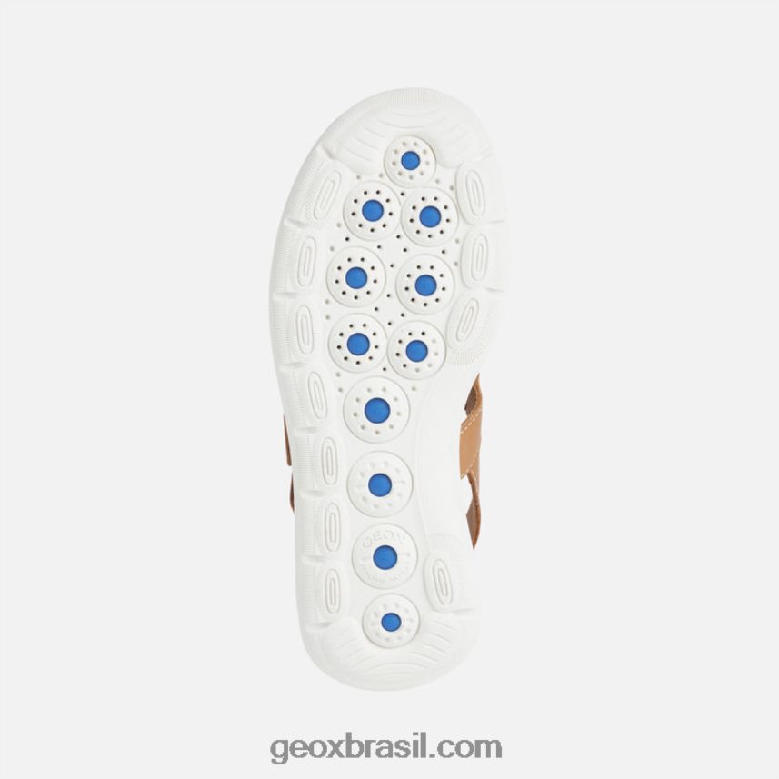 mulher esférica ec5w camelo Geox 28TF8X38