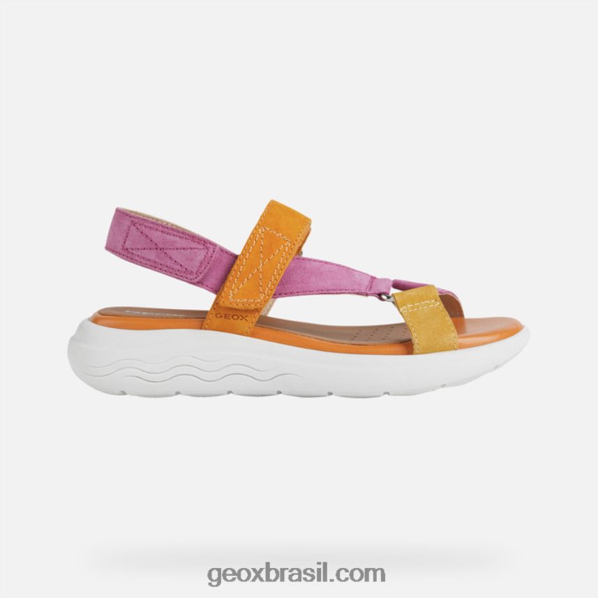 mulher esférica ec5w fúcsia/laranja Geox 28TF8X36