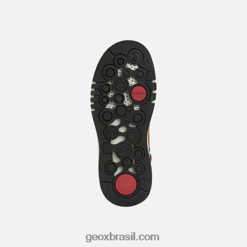 aeranter abx boy castanho claro/vermelho escuro Geox 28TF8X1333