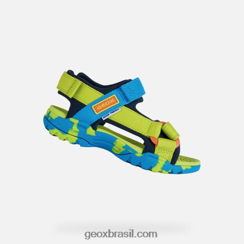 menino boreal limão/céu Geox 28TF8X1962