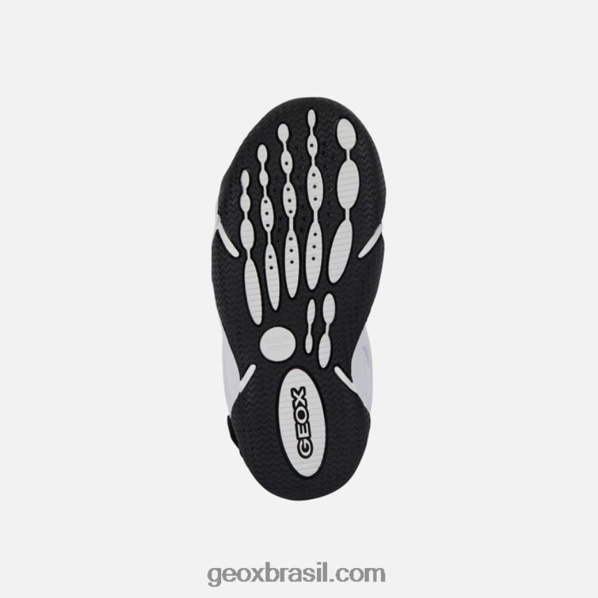 pernalta júnior militares Geox 28TF8X1871