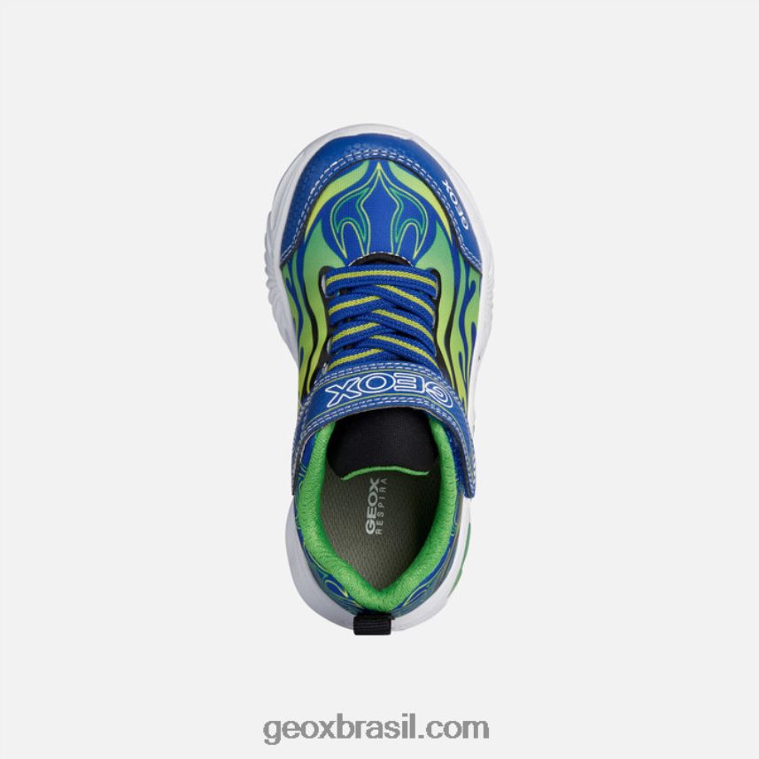 menino assistente real/verde Geox 28TF8X1944