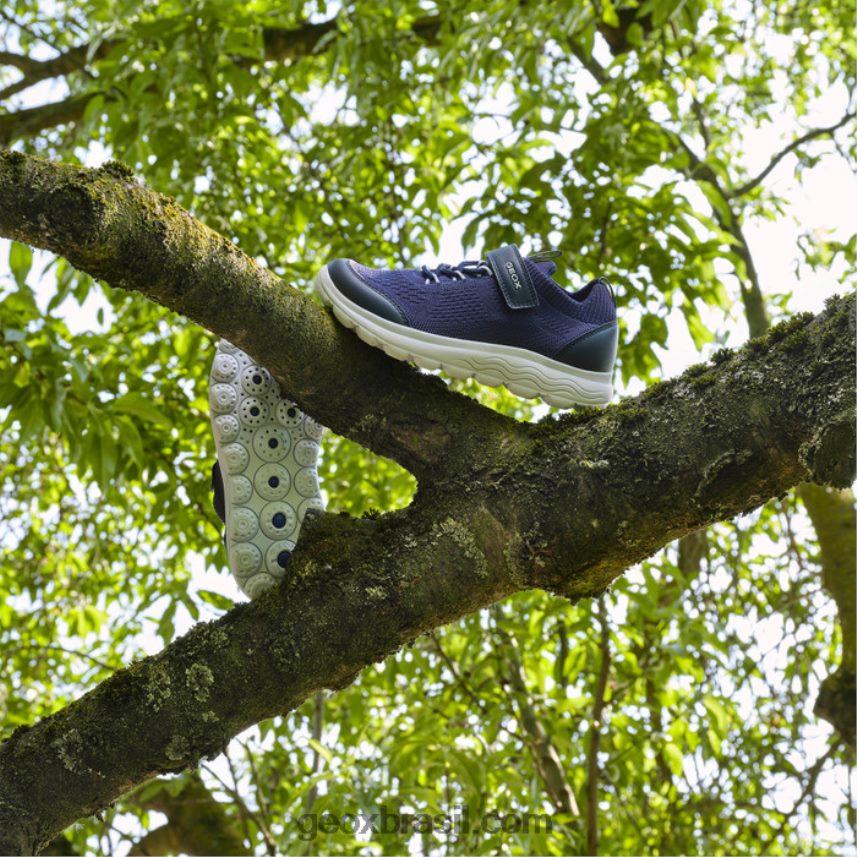 esférica júnior marinha Geox 28TF8X1019