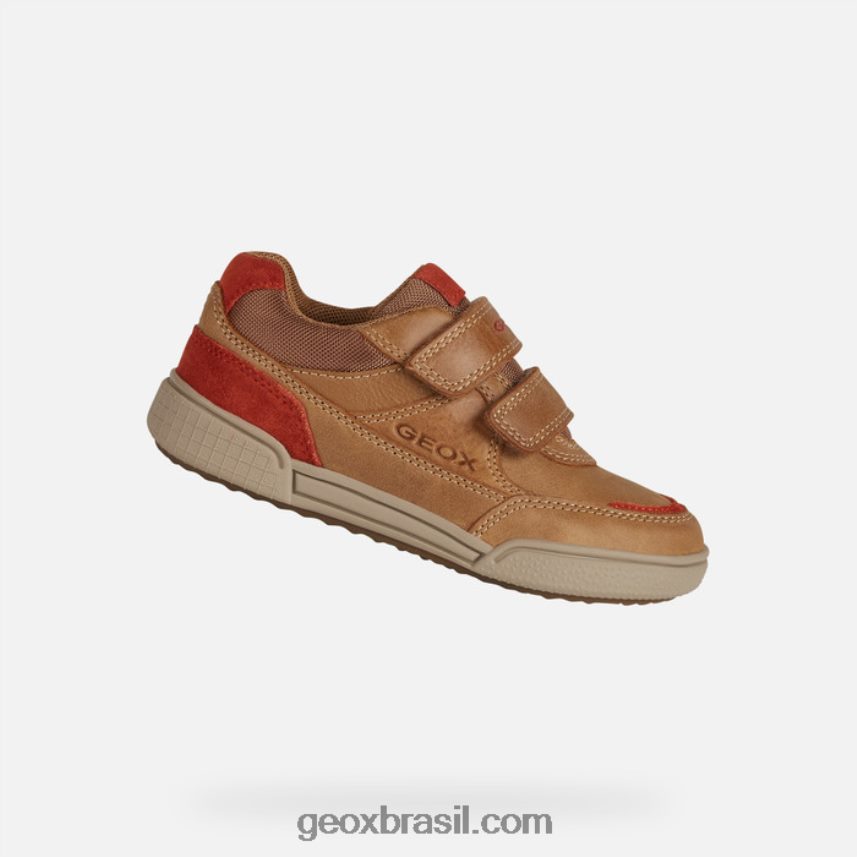 menino poseido conhaque/tinto Geox 28TF8X1411