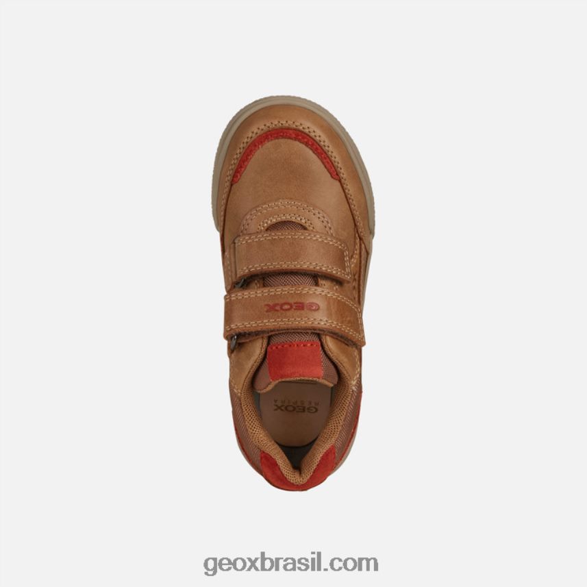menino poseido conhaque/tinto Geox 28TF8X1411