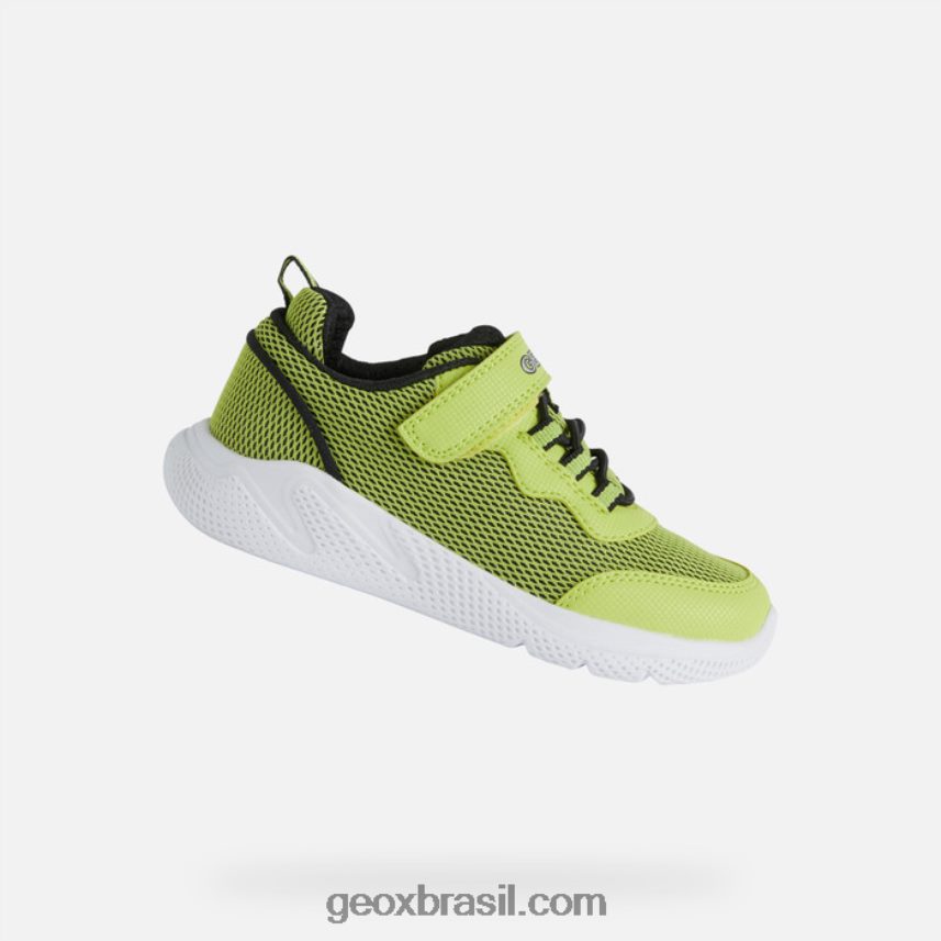 sprintye júnior limão/preto Geox 28TF8X1351