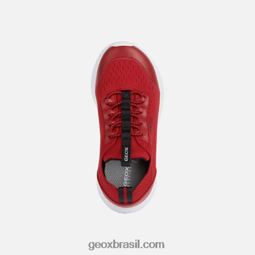 sprintye júnior vermelho preto Geox 28TF8X1895